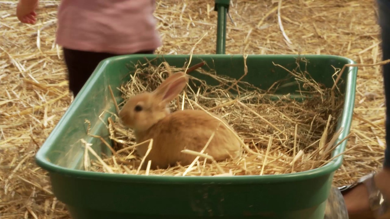 Ferme Pédagogique de Woimbey