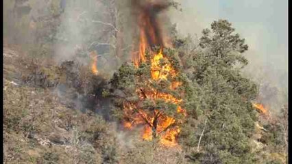 Los bomberos no logran controlar el fuego de California declarado el martes