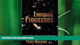 behold  Energetic Processes: Interaction Between Matter, Energy   Consciousness Volume I