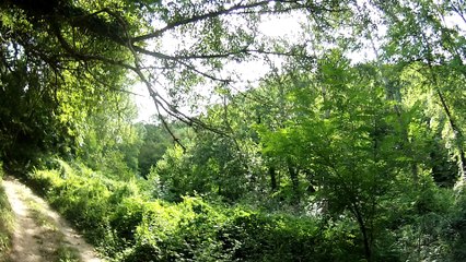 strade bianche in Val di Merse -9-