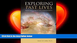 there is  Exploring Past Lives: Your Soul s Quest For Consciousness