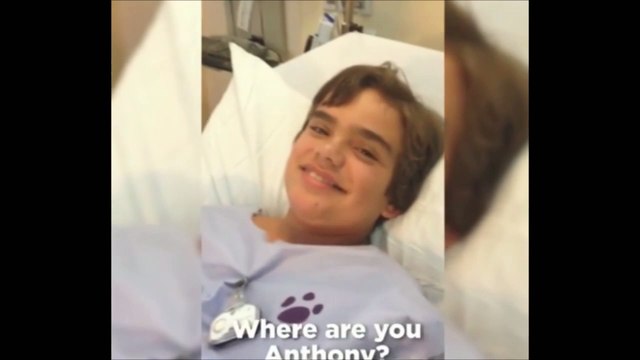 Un enfant avale un jouet pour chien et se met à couiner