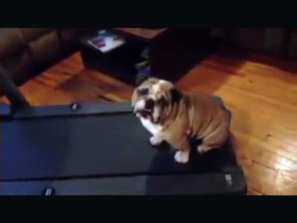 You can't sit......Walk!