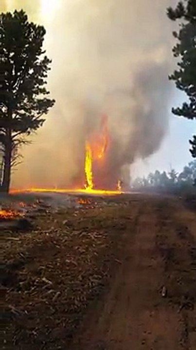 Une tornade de feu filmée par un pompier !