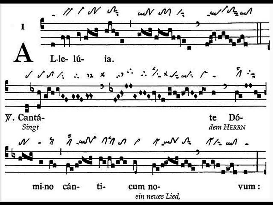 Alleluia Cantate Domino, Dominica XXII TpA (22 TO)