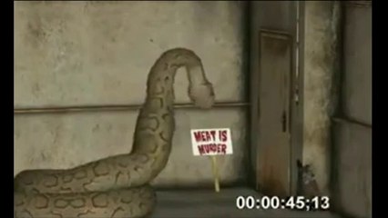 Giant Python eaten whole woman a Live