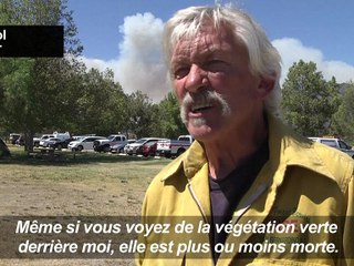 Californie: l'incendie de Blue Cut poursuit ses ravages