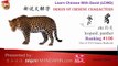 Origin of Chinese Characters -Radical 197 豸 部  leopard, panther - Learn Chinese with Flash Cards
