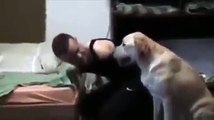 Lui è senza braccia, ma ogni giorno il suo cane lo aiuta a vestirsi