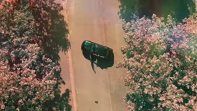 CANARDO - Fais pas le fou (Clip officiel)