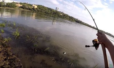 Un homme russe tente de pécher dans un lac et ramène un oiseau au lieu d'un poisson !