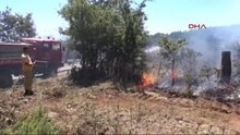Çanakkale'de Orman Yangını Ek