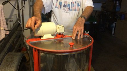 Mauvaise récolte de miel cette année, à l'heure de l'extraction