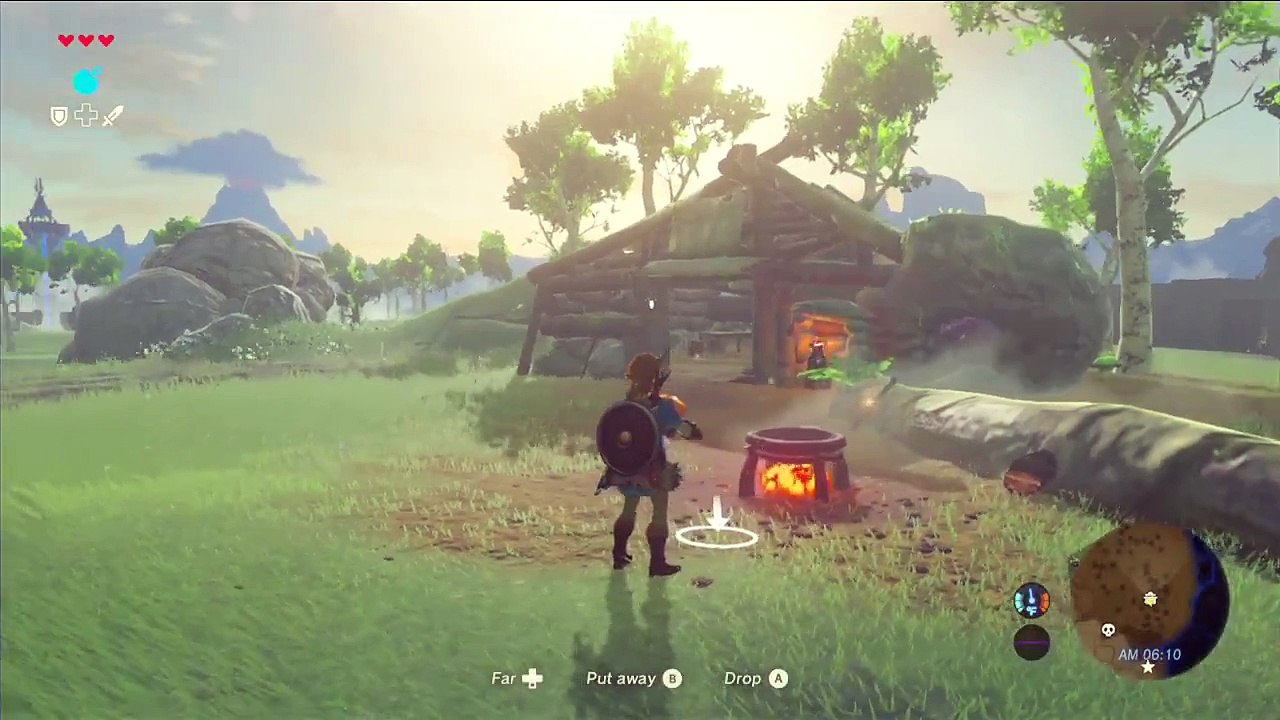 The Legend of Zelda- Breath of the Wild (Wii U - NX)