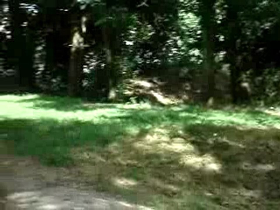 MOV00479