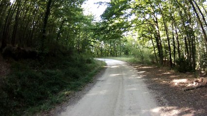 strade bianche in Val di Merse 10