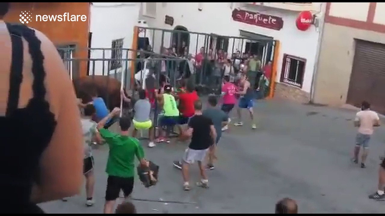 Bull breaks into cage and gores man