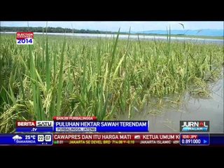 Puluhan Hektare Sawah di Purbalingga Terendam Banjir