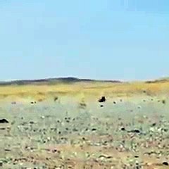 Questo video testimonia quanto è caldo il deserto in Arabia Saudita - Video Dailymotion