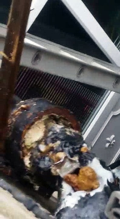 Union Plumbing and Heating - Plumbers at work