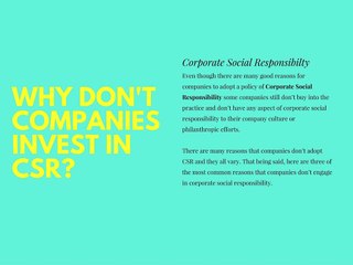 David Pflieger- Why Don't Companies Invest In CSR?