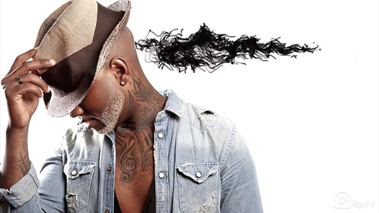---WILLY WILLIAM - Ego (Official Video Lyrics)