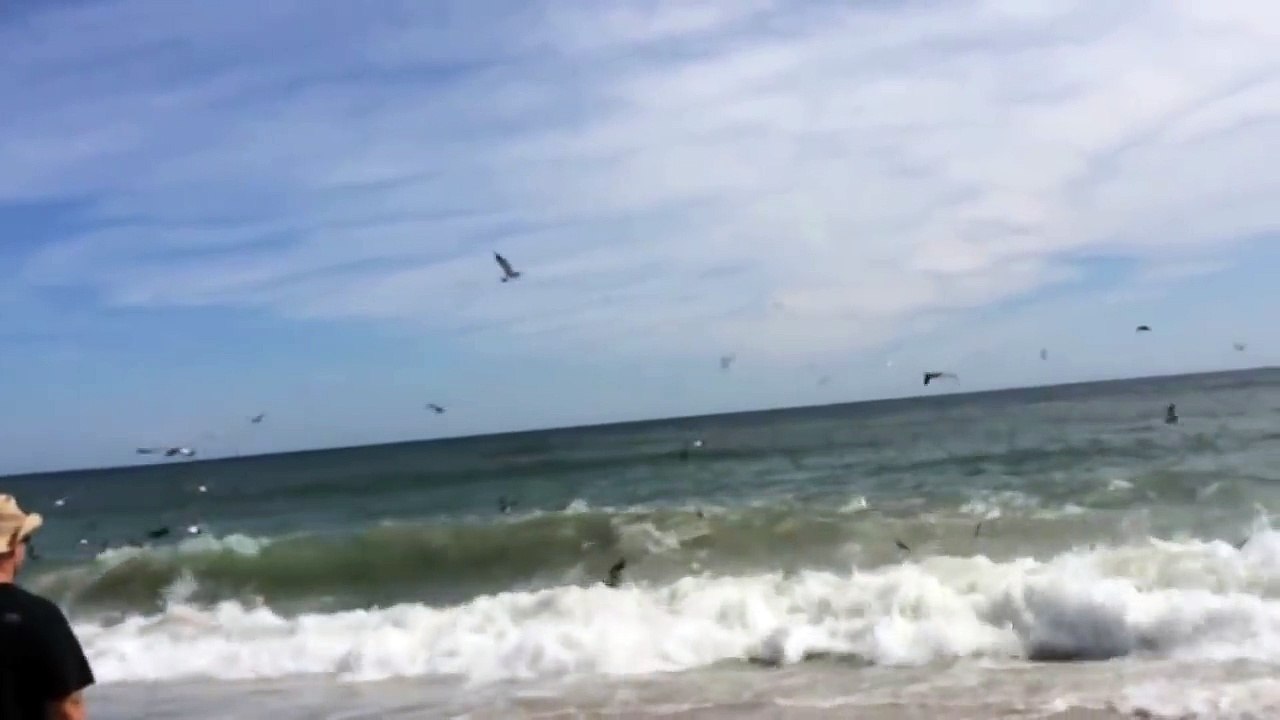 Alors qu'ils marchaient sur la plage, des pêcheurs ont eu droit à toute une surprise !
