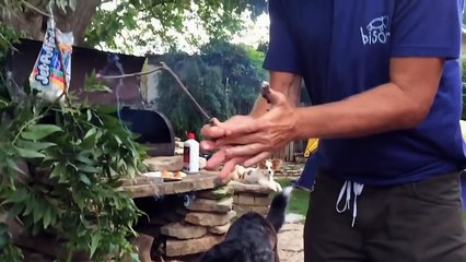 America's Funniest Home Videos