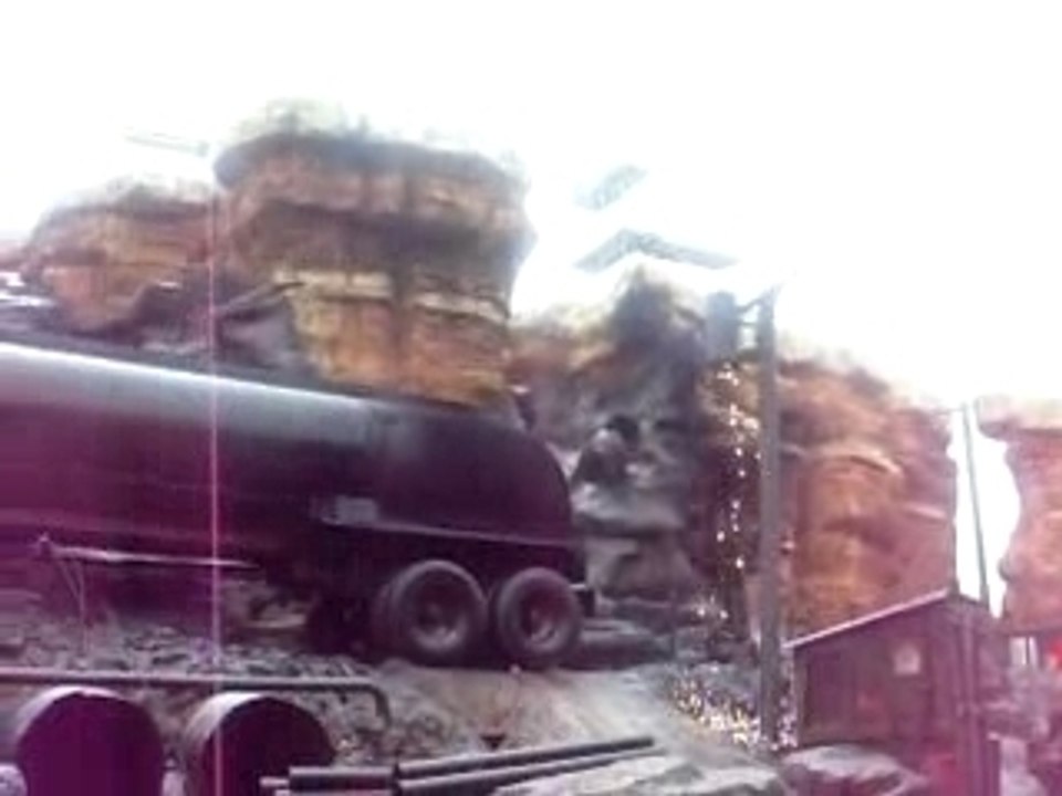 Disney catastrophe