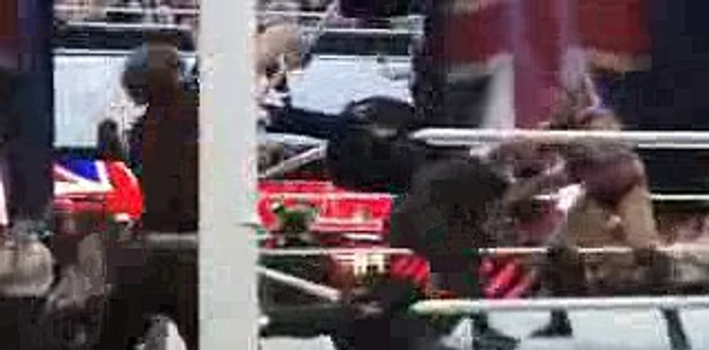 Wwe Raw Dave Bautista returns to Wwe Smackdown 11 7 16 and attack Roman Reigns Seth Rollins Ambrose