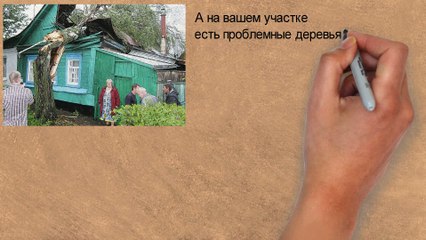 СПИЛ И ВАЛКА ДЕРЕВЬЕВ в Петербурге и Ленинградской области