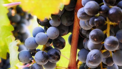 Pablo Johnson - Gigante amor (video oficial)