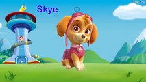 Aprende los Colores con La Patrulla Canina - BabyKids