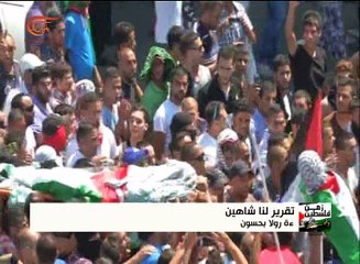 الميادين تفرد تغطية خاصة لذكرى العدوان على غزة