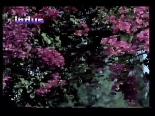 PARDESI- Pardesi piya