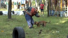 Эрбол и Витория