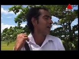 Adare Suwanda Aran 18th August 2016