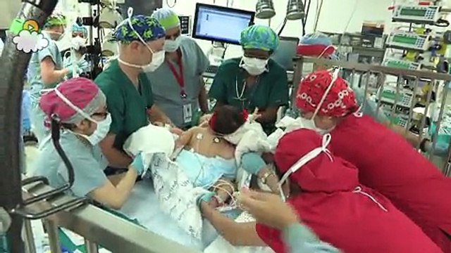 Le maman et le papa font un câlin à leurs bébés, mais quand j'ai vu les bébés de plus près, OH MON DIEU!