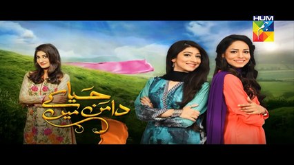 Haya Ke Daman Mein Episode 100 Full HD Hum TV Drama 17 Aug 2016