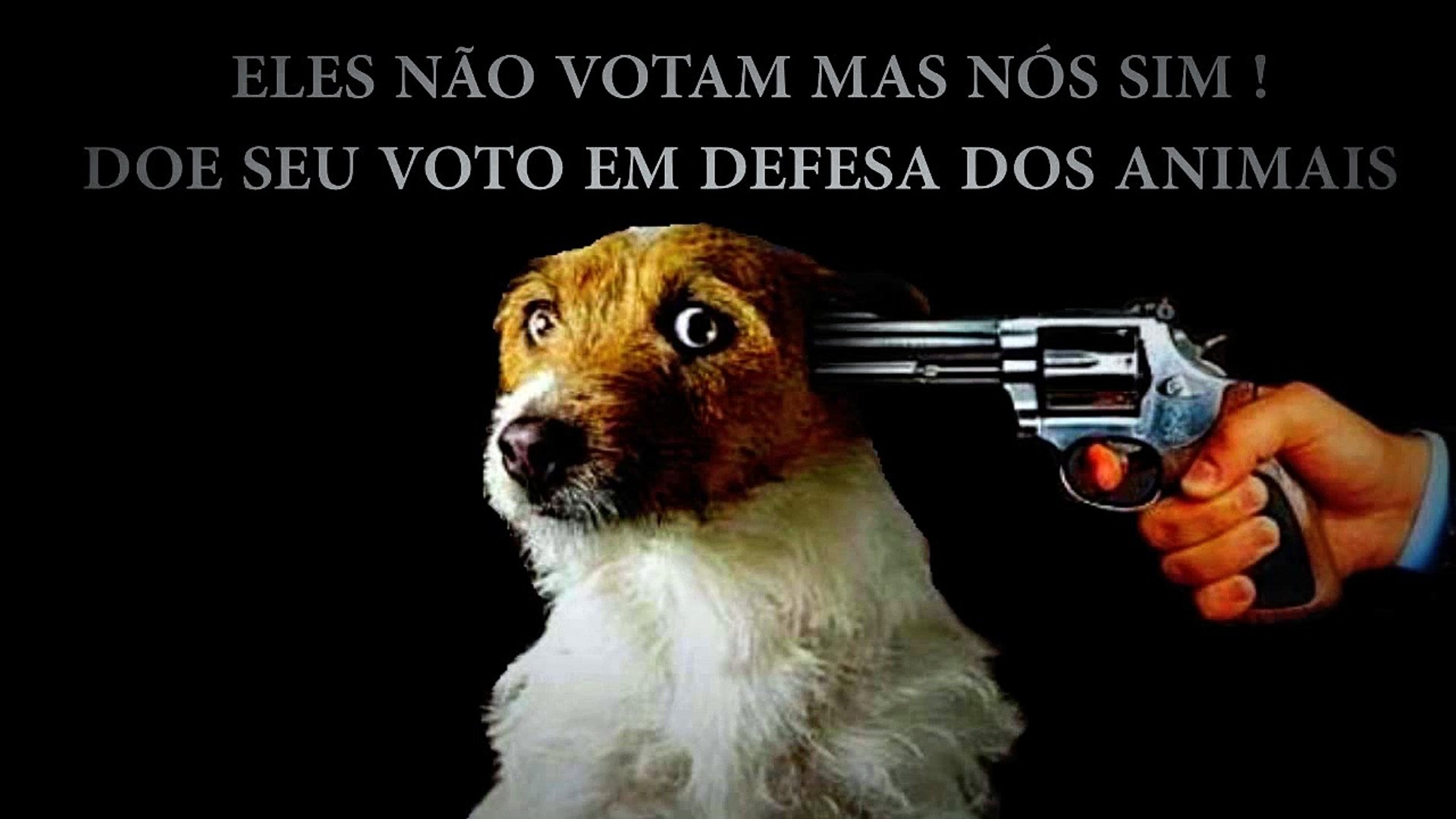 Músicas Internacionais Românticas Amar é Viver
