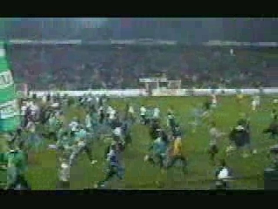 Clip Magic Fans Asse 9899