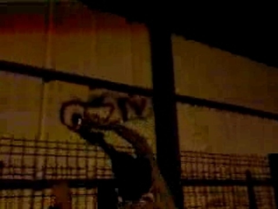 Vidéo-0004