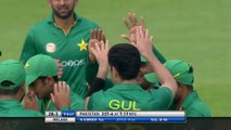 Pakistan Fall Of All Wickets vs Ireland, Ireland vs Pakistan 1st ODI 2016