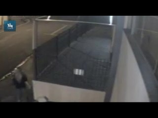 Imagens mostram procurada fugindo com bebê de 22 dias de shopping