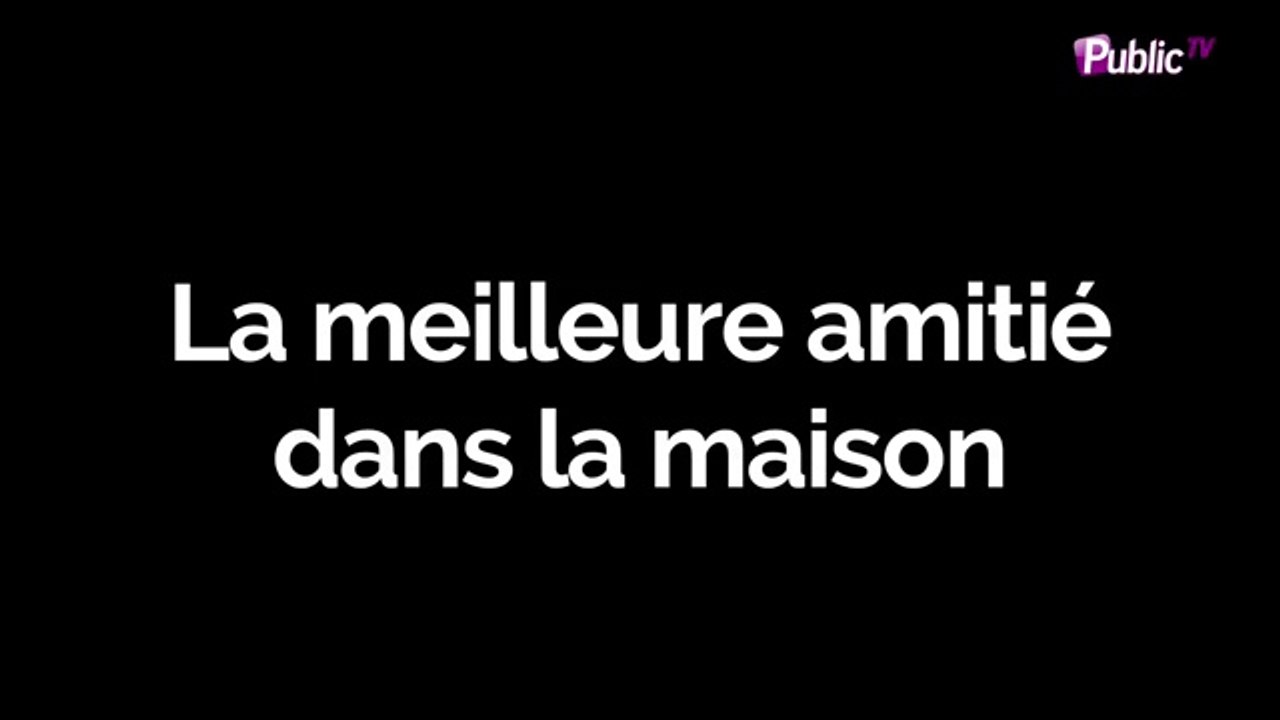 Anaïs Camizuli VS Émilie Nef Naf : À vous de les départager !