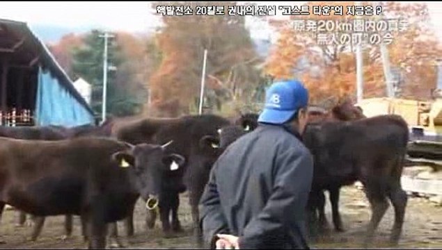 20111218特命報道記者