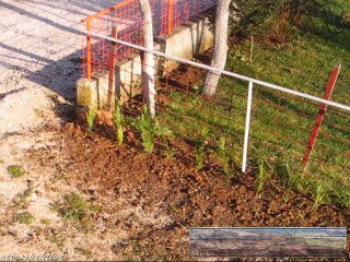 emHOME - zeleniplan2 2006