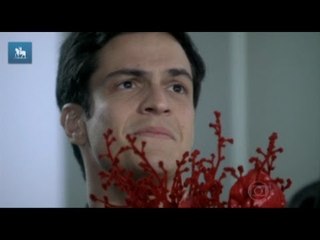 Cristina Padiglione: Félix, um armário e um casamento