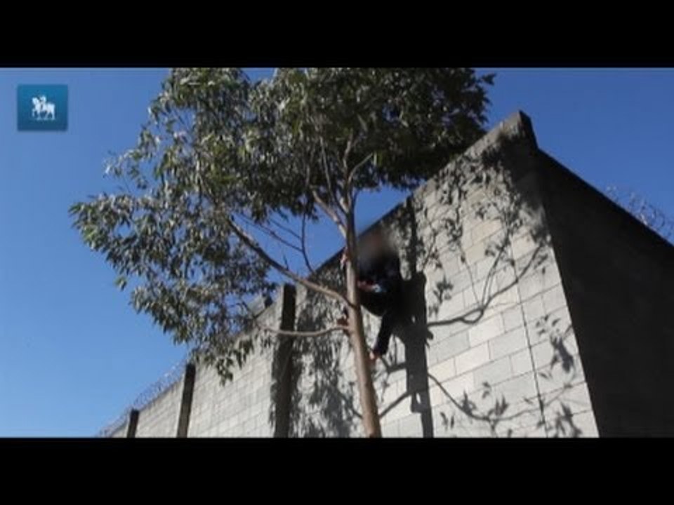 Menores fogem em rebelião da Fundação Casa em SP. Veja imagens