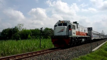 Kereta Api Rapih Doho KA 442 Lokomotif CC201 77 07 Jembatan Ngujang Tulungagung